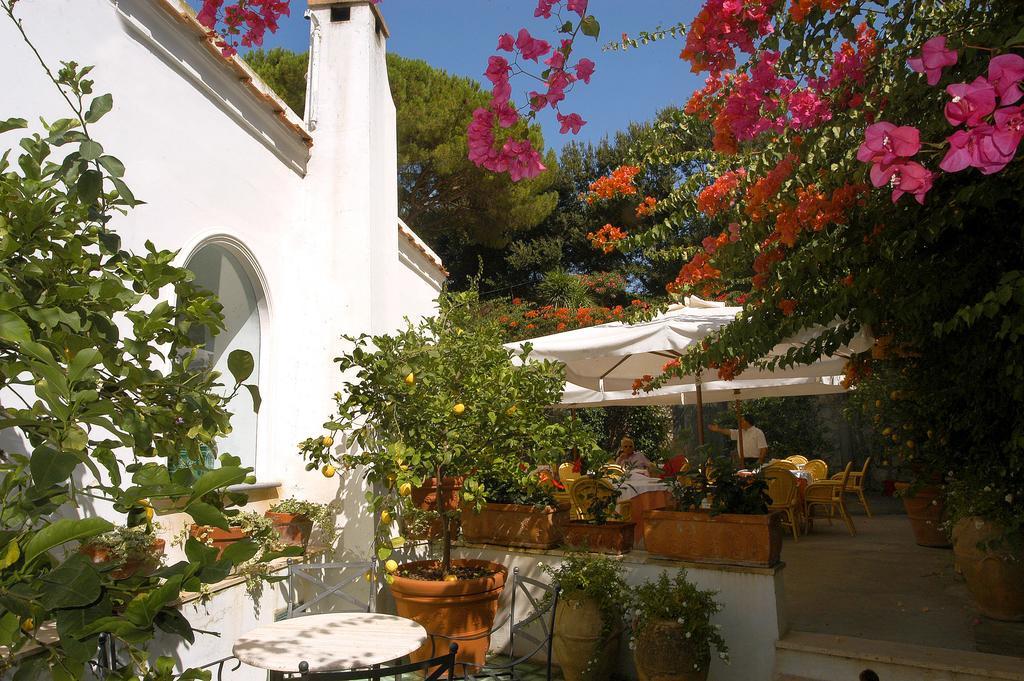 Hotel Canasta Capri Esterno foto