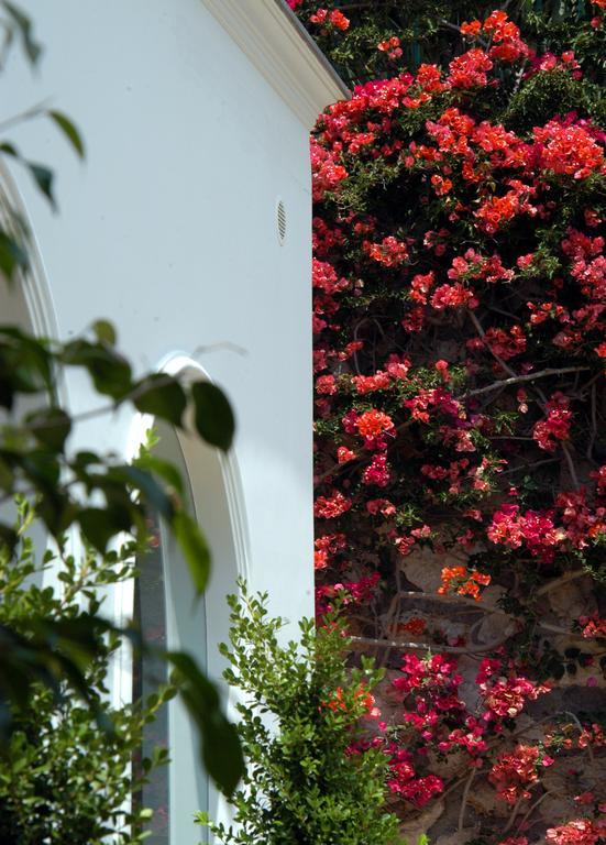 Hotel Canasta Capri Esterno foto
